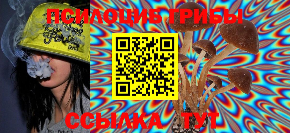 Галлюциногенные грибы Magic Shrooms Кирово-Чепецк