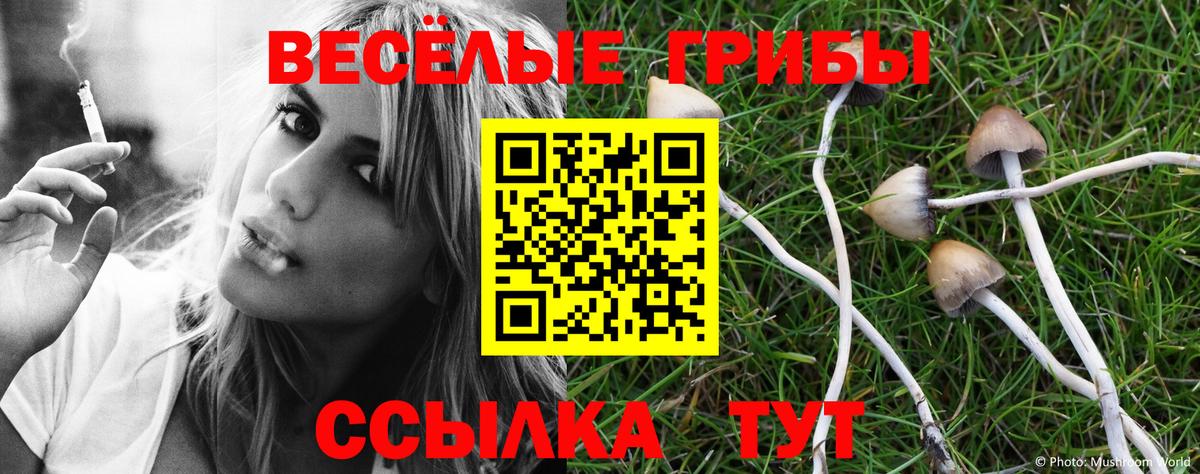 Псилоцибиновые грибы ЛСД  Вход с VPN  Галлюциногенные грибы MAGIC MUSHROOMS  Кирово-Чепецк 